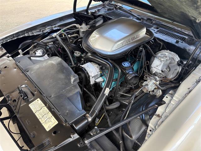 1979 Pontiac Firebird (CC-2113928) for sale in Bradenton, Florida