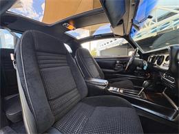 1979 Pontiac Firebird (CC-2113928) for sale in Bradenton, Florida