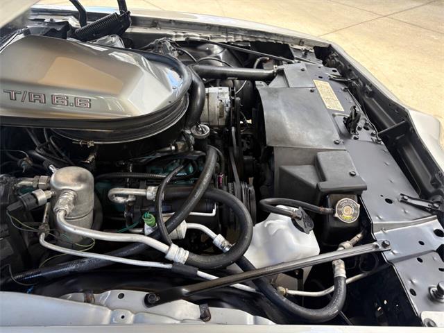 1979 Pontiac Firebird (CC-2113928) for sale in Bradenton, Florida