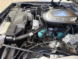 1979 Pontiac Firebird (CC-2113928) for sale in Bradenton, Florida