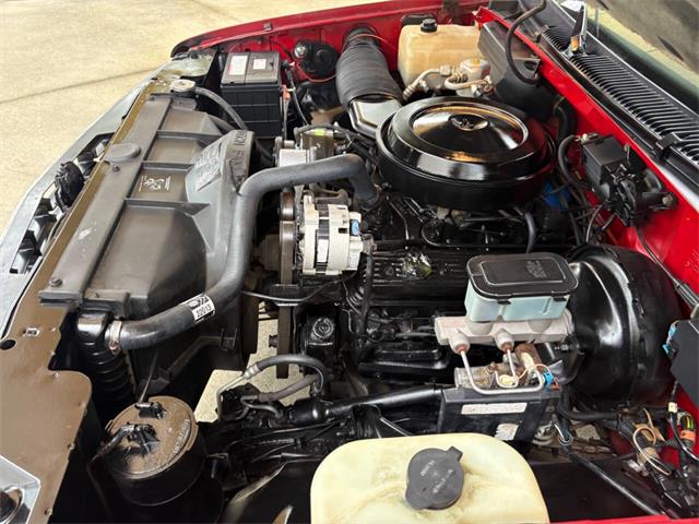 1988 Chevrolet 1500 (CC-2113931) for sale in Bradenton, Florida