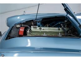 1961 Austin-Healey 3000 (CC-2113956) for sale in Concord, North Carolina