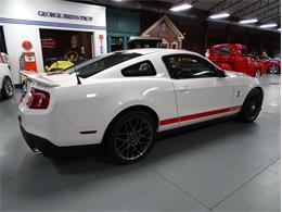 2012 Ford Shelby Cobra (CC-2113963) for sale in Greensboro, North Carolina