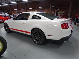 2012 Ford Shelby Cobra (CC-2113963) for sale in Greensboro, North Carolina