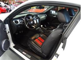 2012 Ford Shelby Cobra (CC-2113963) for sale in Greensboro, North Carolina