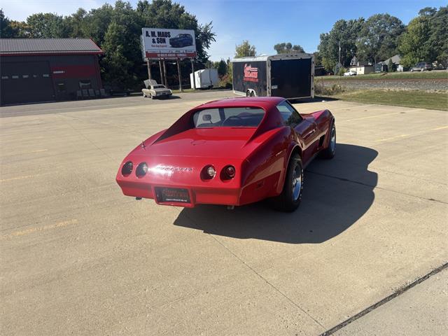 1974 Chevrolet Corvette (CC-2113992) for sale in Annandale, Minnesota
