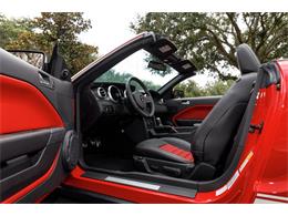 2007 Ford Mustang (CC-2114021) for sale in Greensboro, North Carolina