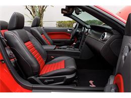 2007 Ford Mustang (CC-2114021) for sale in Greensboro, North Carolina