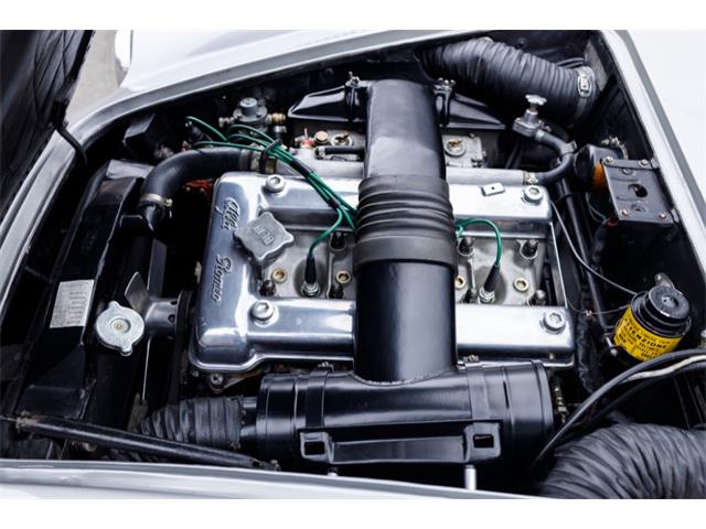1962 Alfa Romeo SZ (CC-2114028) for sale in Astoria, New York