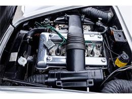 1962 Alfa Romeo SZ (CC-2114028) for sale in Astoria, New York