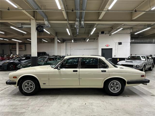 1987 Jaguar XJ (CC-2114074) for sale in Huntington Station, New York