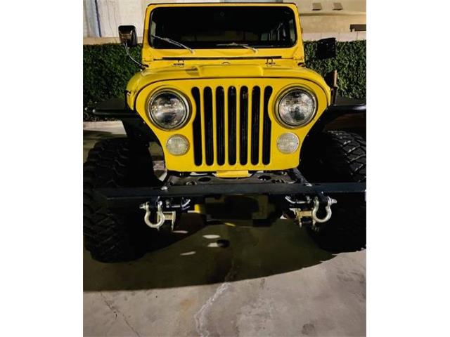 1979 Jeep Wrangler (CC-2110408) for sale in Cadillac, Michigan