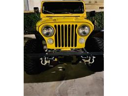 1979 Jeep Wrangler (CC-2110408) for sale in Cadillac, Michigan