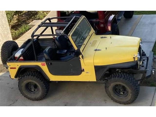 1979 Jeep Wrangler (CC-2110408) for sale in Cadillac, Michigan