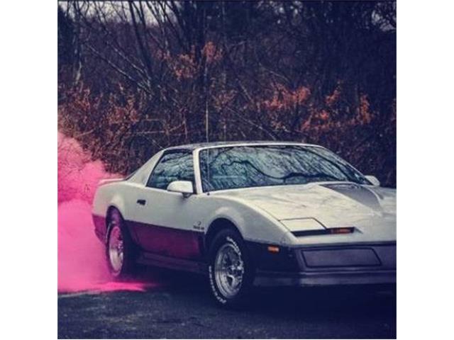 1983 Pontiac Firebird Trans Am (CC-2110041) for sale in Cadillac, Michigan