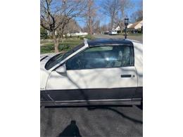 1983 Pontiac Firebird Trans Am (CC-2110041) for sale in Cadillac, Michigan