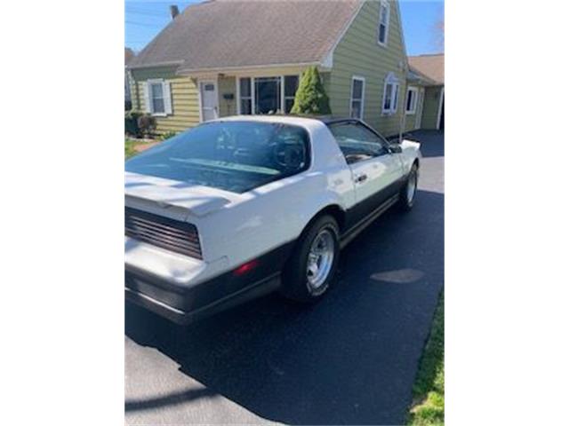 1983 Pontiac Firebird Trans Am (CC-2110041) for sale in Cadillac, Michigan