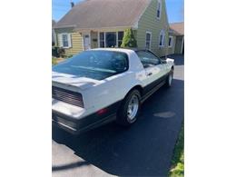 1983 Pontiac Firebird Trans Am (CC-2110041) for sale in Cadillac, Michigan