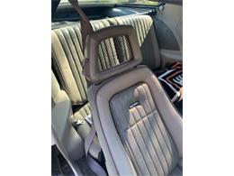 1983 Pontiac Firebird Trans Am (CC-2110041) for sale in Cadillac, Michigan