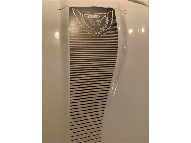 1983 Pontiac Firebird Trans Am (CC-2110041) for sale in Cadillac, Michigan