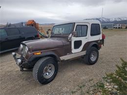 1977 Jeep CJ5 (CC-2110410) for sale in Cadillac, Michigan