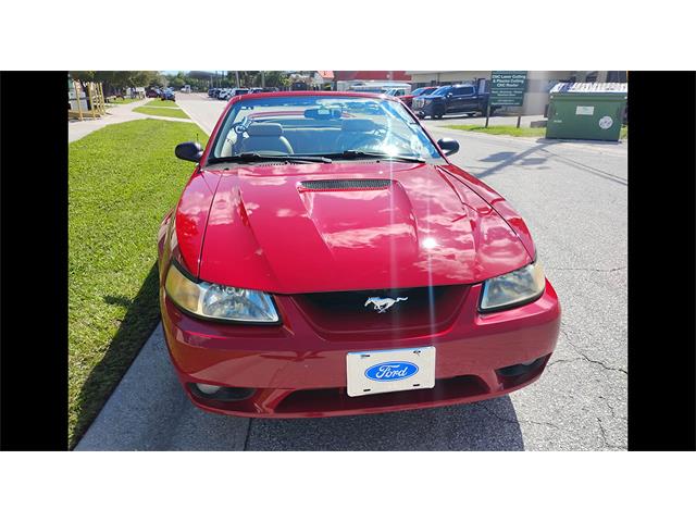 1999 Ford Mustang Cobra (CC-2114103) for sale in Biloxi, Mississippi