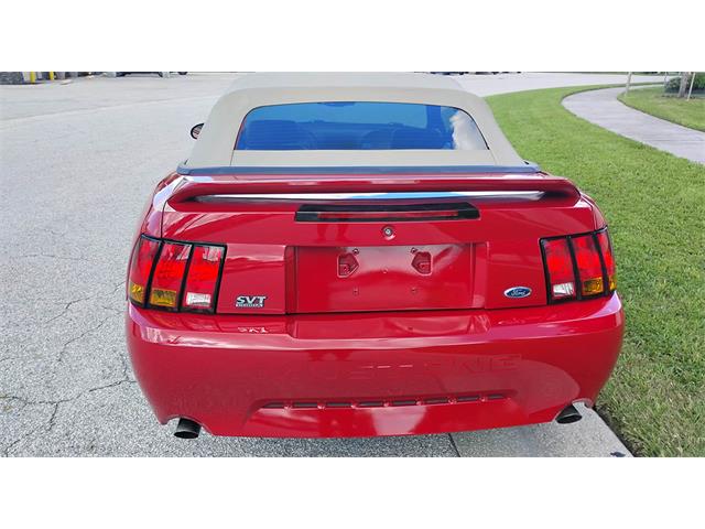 1999 Ford Mustang Cobra (CC-2114103) for sale in Biloxi, Mississippi