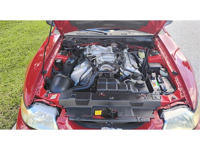 1999 Ford Mustang Cobra (CC-2114103) for sale in Biloxi, Mississippi