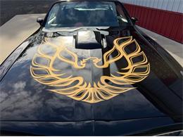 1978 Pontiac Firebird (CC-2114115) for sale in Newfield, New Jersey