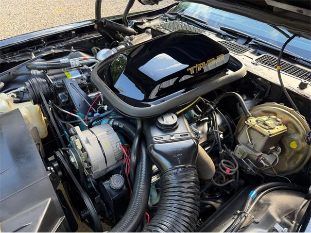 1978 Pontiac Firebird (CC-2114115) for sale in Newfield, New Jersey