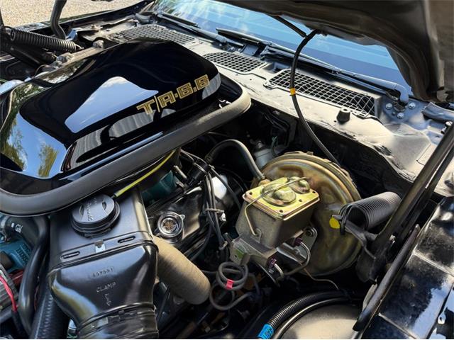 1978 Pontiac Firebird (CC-2114115) for sale in Newfield, New Jersey
