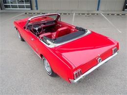 1966 Ford Mustang (CC-2114144) for sale in Englewood, Colorado