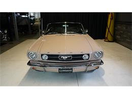 1966 Ford Mustang (CC-2114217) for sale in Stratford, Ontario