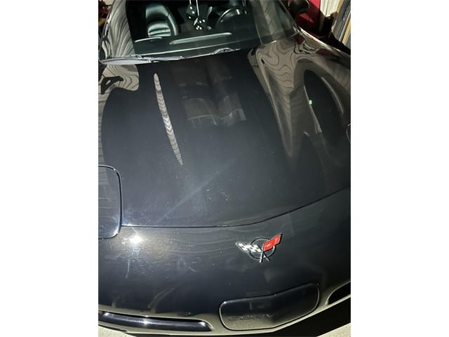 1999 Chevrolet Corvette C5 (CC-2114249) for sale in Little Falls, Minnesota
