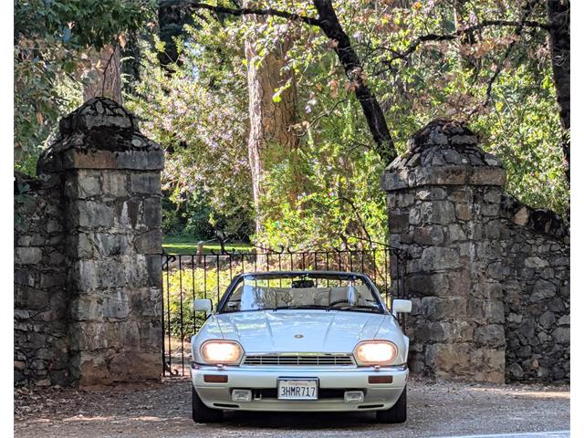 1994 Jaguar XJS (CC-2114264) for sale in Grass Valley, California