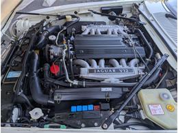 1994 Jaguar XJS (CC-2114264) for sale in Grass Valley, California