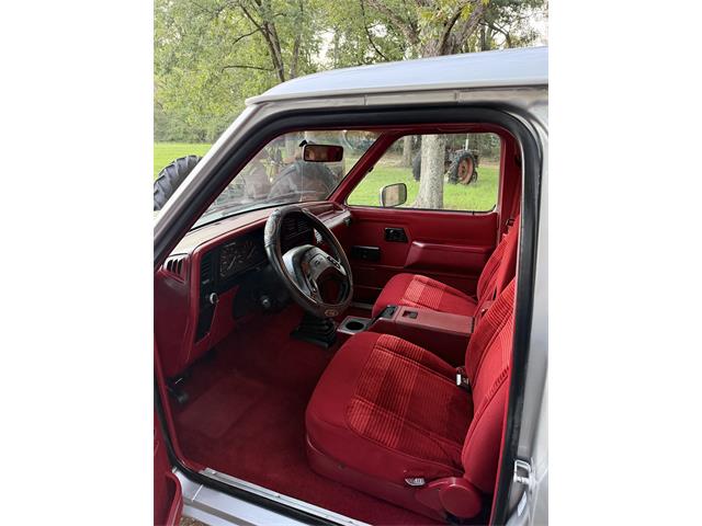 1990 Ford Bronco II (CC-2114271) for sale in Range, Alabama