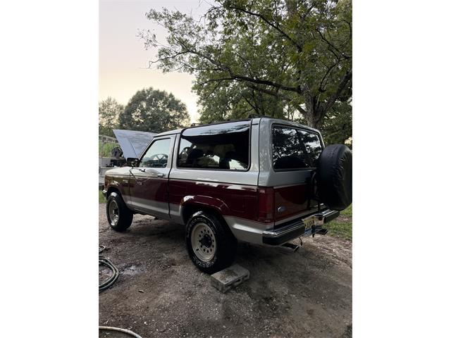 1990 Ford Bronco II (CC-2114271) for sale in Range, Alabama