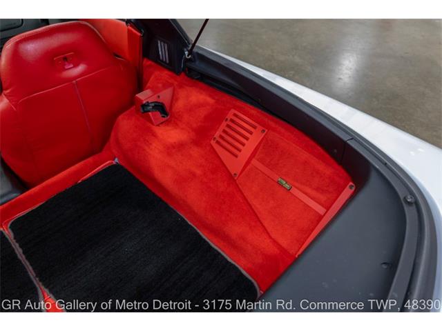 1995 Chevrolet Corvette (CC-2114292) for sale in Kentwood, Michigan