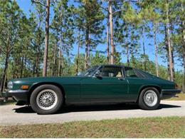 1989 Jaguar XJ (CC-2110432) for sale in Cadillac, Michigan