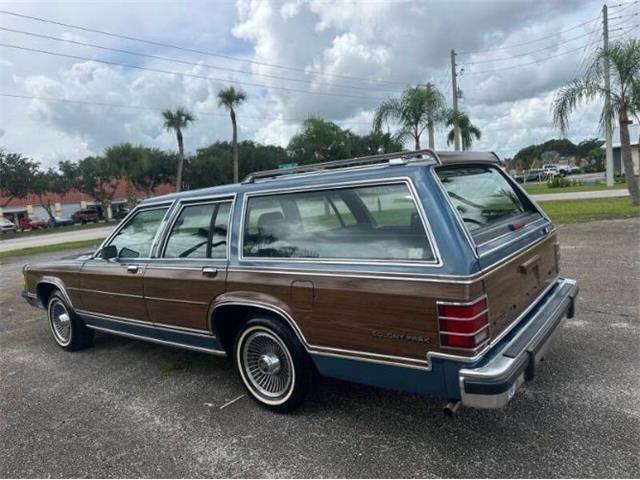 1988 Mercury Grand Marquis (CC-2114324) for sale in Cadillac, Michigan