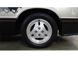 1979 Ford Mustang (CC-2114337) for sale in O'Fallon, Illinois