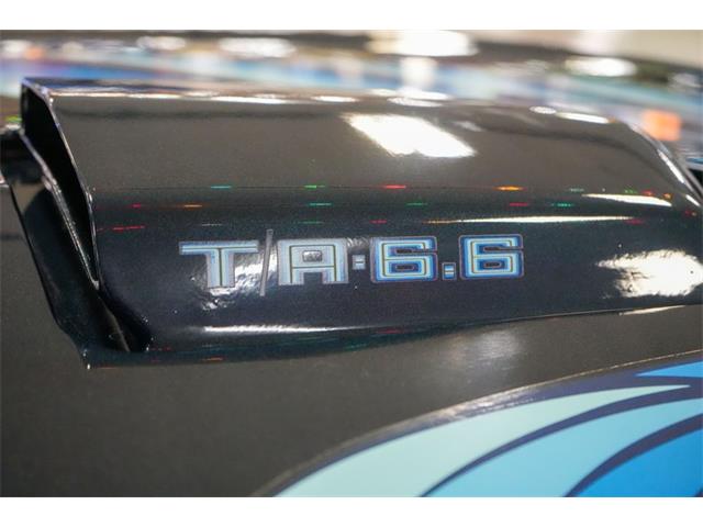 1979 Pontiac Firebird Trans Am (CC-2114358) for sale in Homer City, Pennsylvania