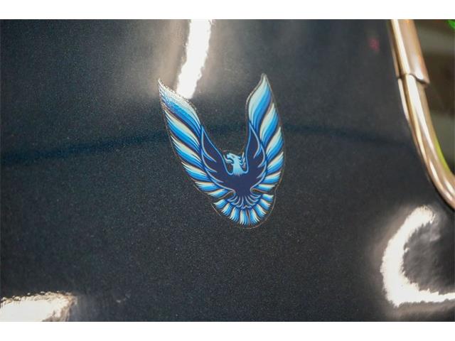 1979 Pontiac Firebird Trans Am (CC-2114358) for sale in Homer City, Pennsylvania