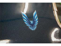 1979 Pontiac Firebird Trans Am (CC-2114358) for sale in Homer City, Pennsylvania