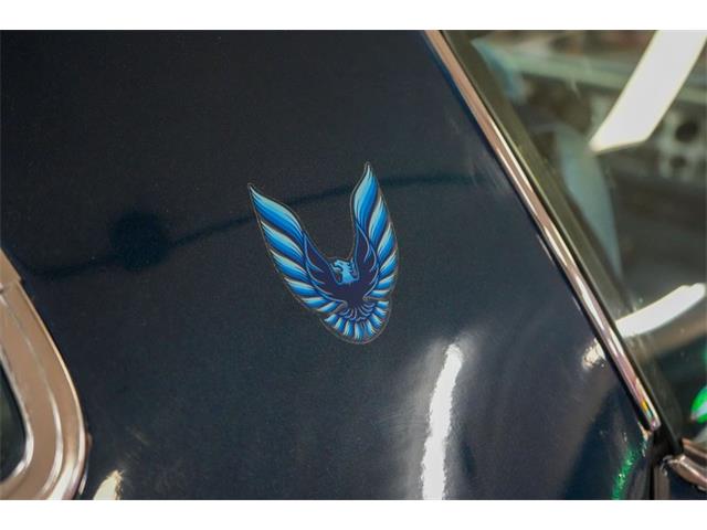 1979 Pontiac Firebird Trans Am (CC-2114358) for sale in Homer City, Pennsylvania