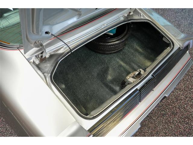 1979 Pontiac Firebird Trans Am (CC-2114364) for sale in Homer City, Pennsylvania