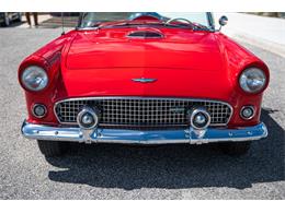 1956 Ford Thunderbird (CC-2114371) for sale in Greensboro, North Carolina