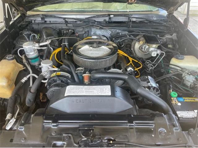 1983 Oldsmobile Cutlass (CC-2110438) for sale in Cadillac, Michigan
