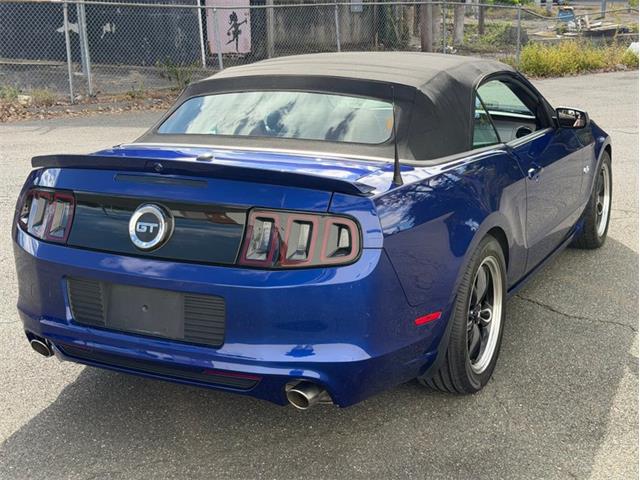 2014 Ford Mustang GT (CC-2114442) for sale in Springfield, Massachusetts